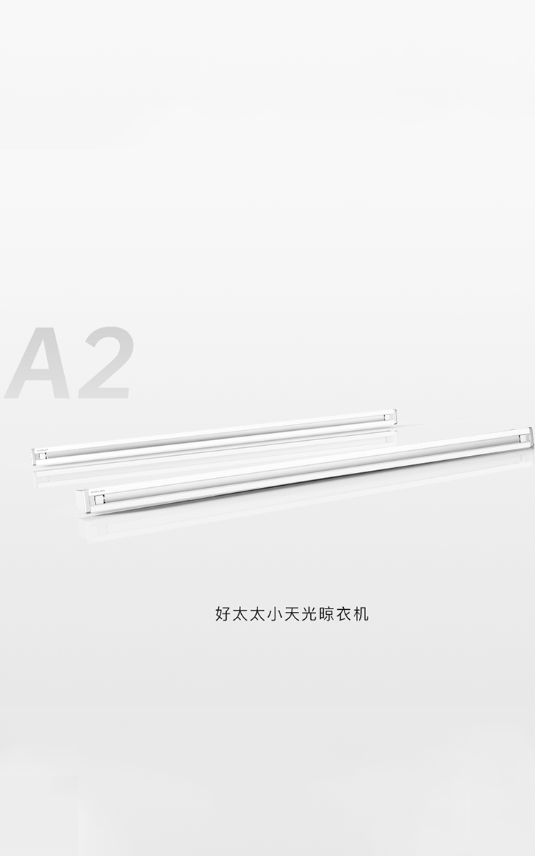 A2